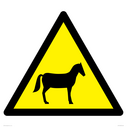 w506-warning-horses~